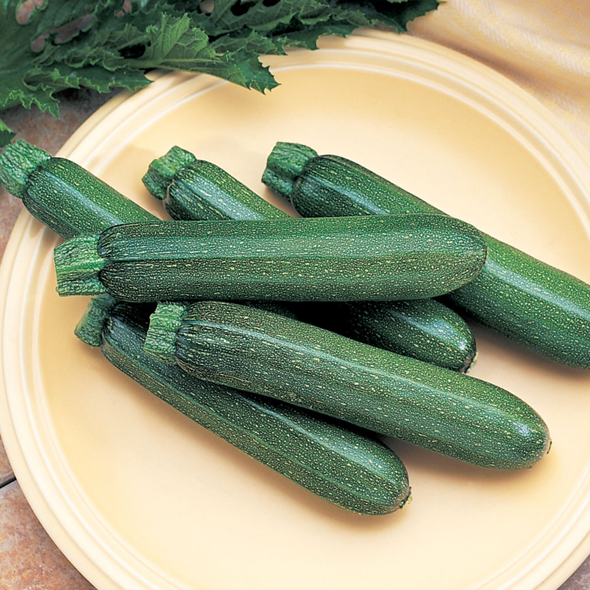 Squash, Summer, Cashflow Hybrid