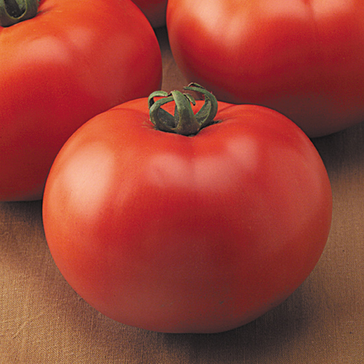 Tomato, Goliath™ Old Fashioned Hybrid.