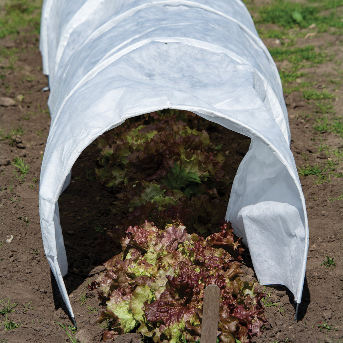 Haxnicks Giant Easy Fleece Tunnel