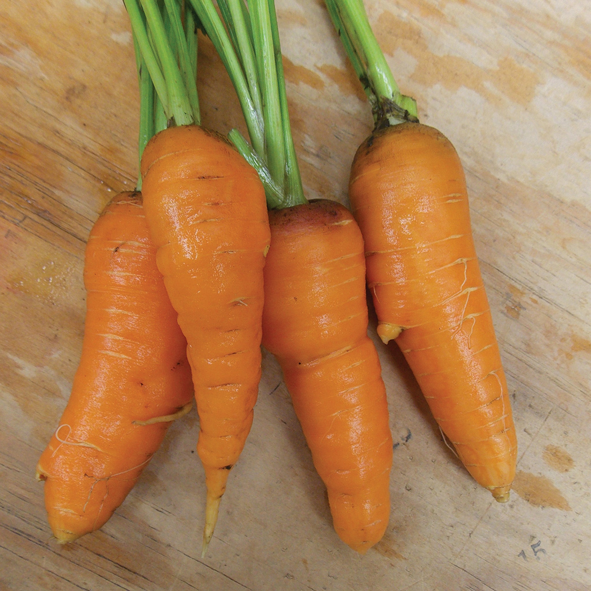 Carrot, Red-Cored Chantenay
