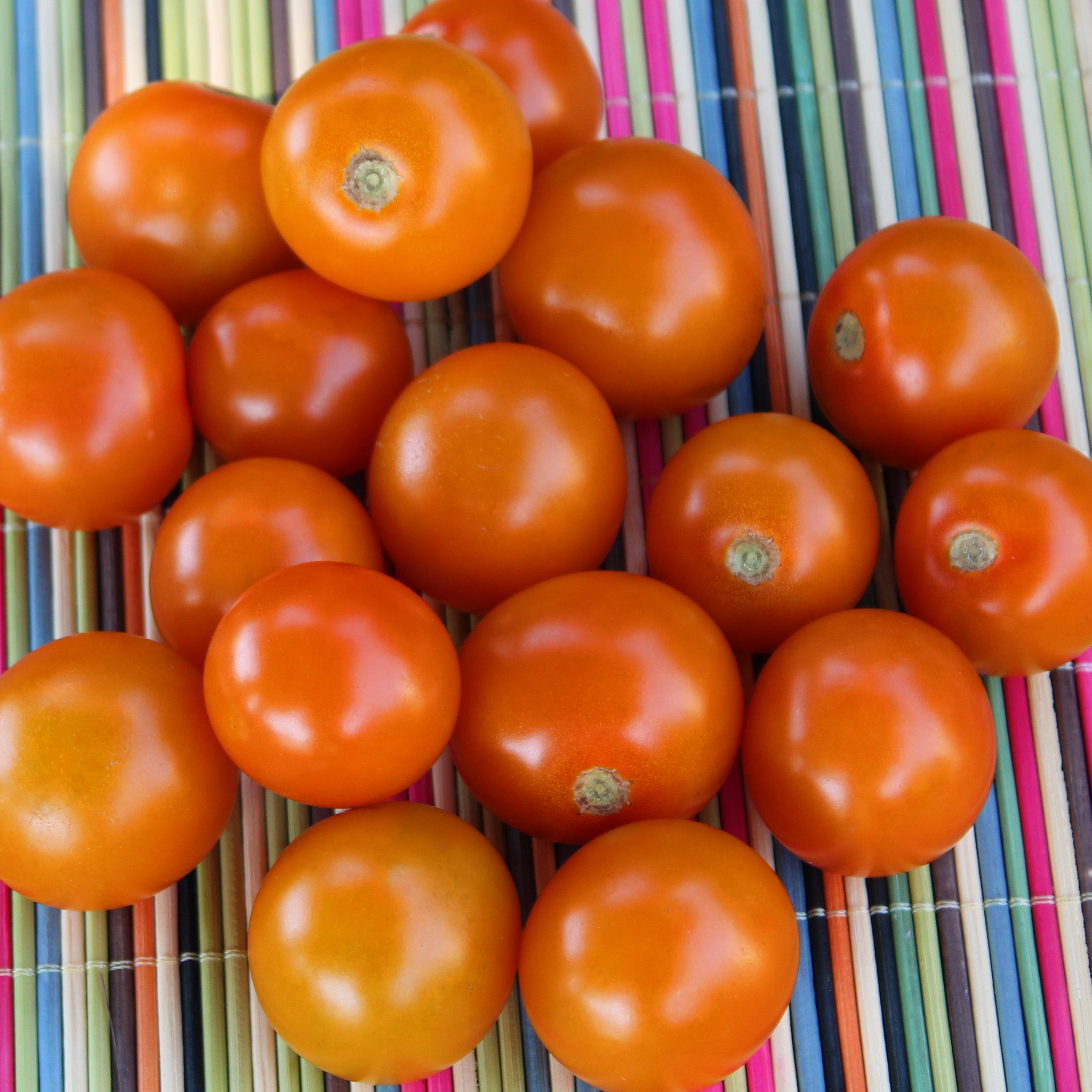 Tomato, Sungold Hybrid