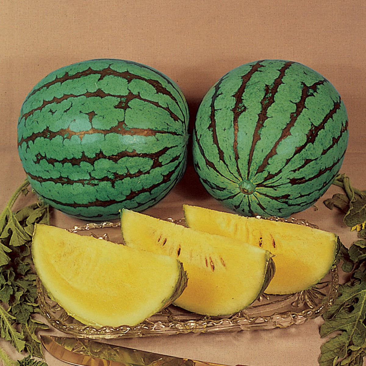 Watermelon, Yellow Doll Hybrid