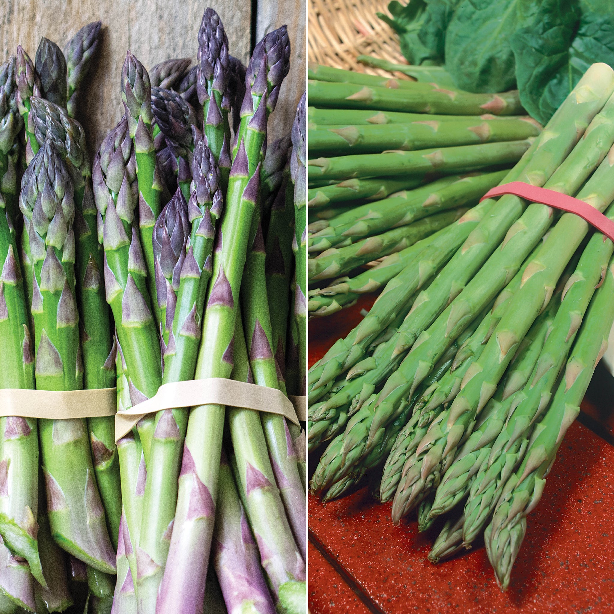 Asparagus Offer #2