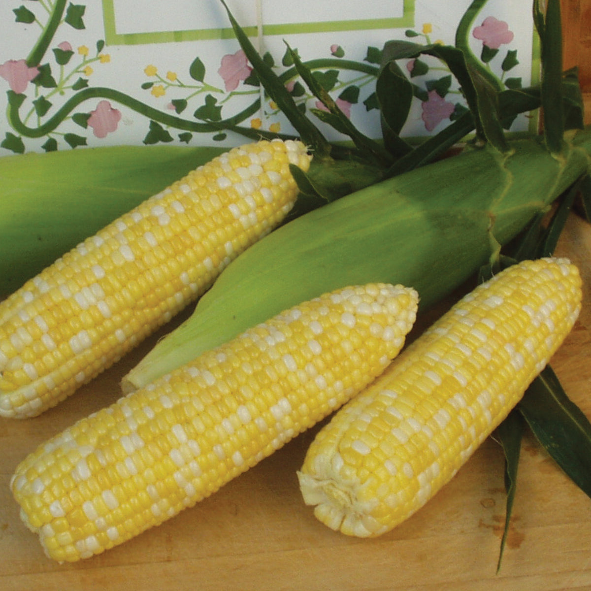 Sweet Corn, Montauk Bicolor Hybrid, Treated