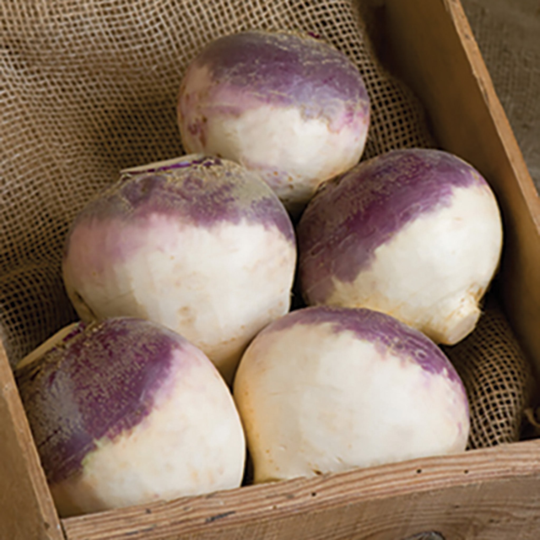 Rutabaga, Helenor Organic