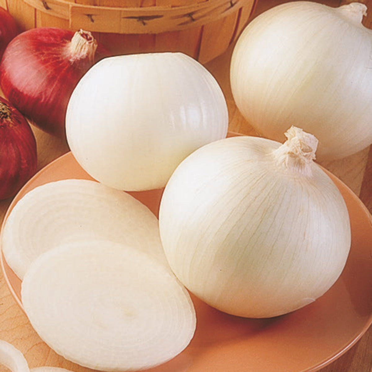 Onion, Sierra Blanca Hybrid, Bunch of 40-50
