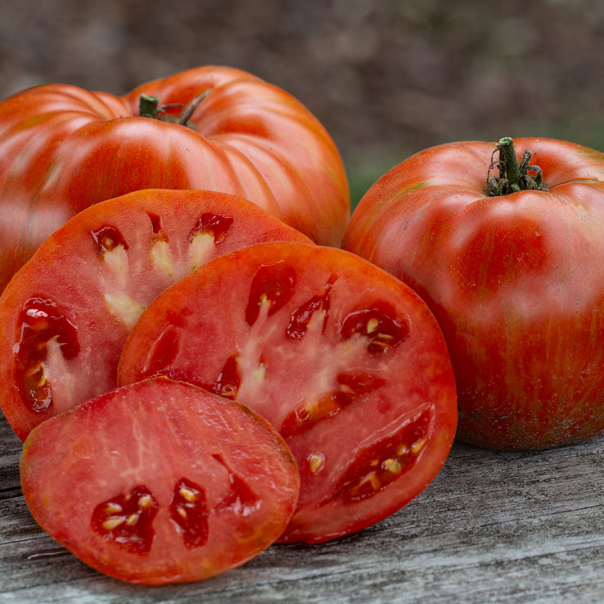 Tomato, Cream of the Crop™ Beefy Red