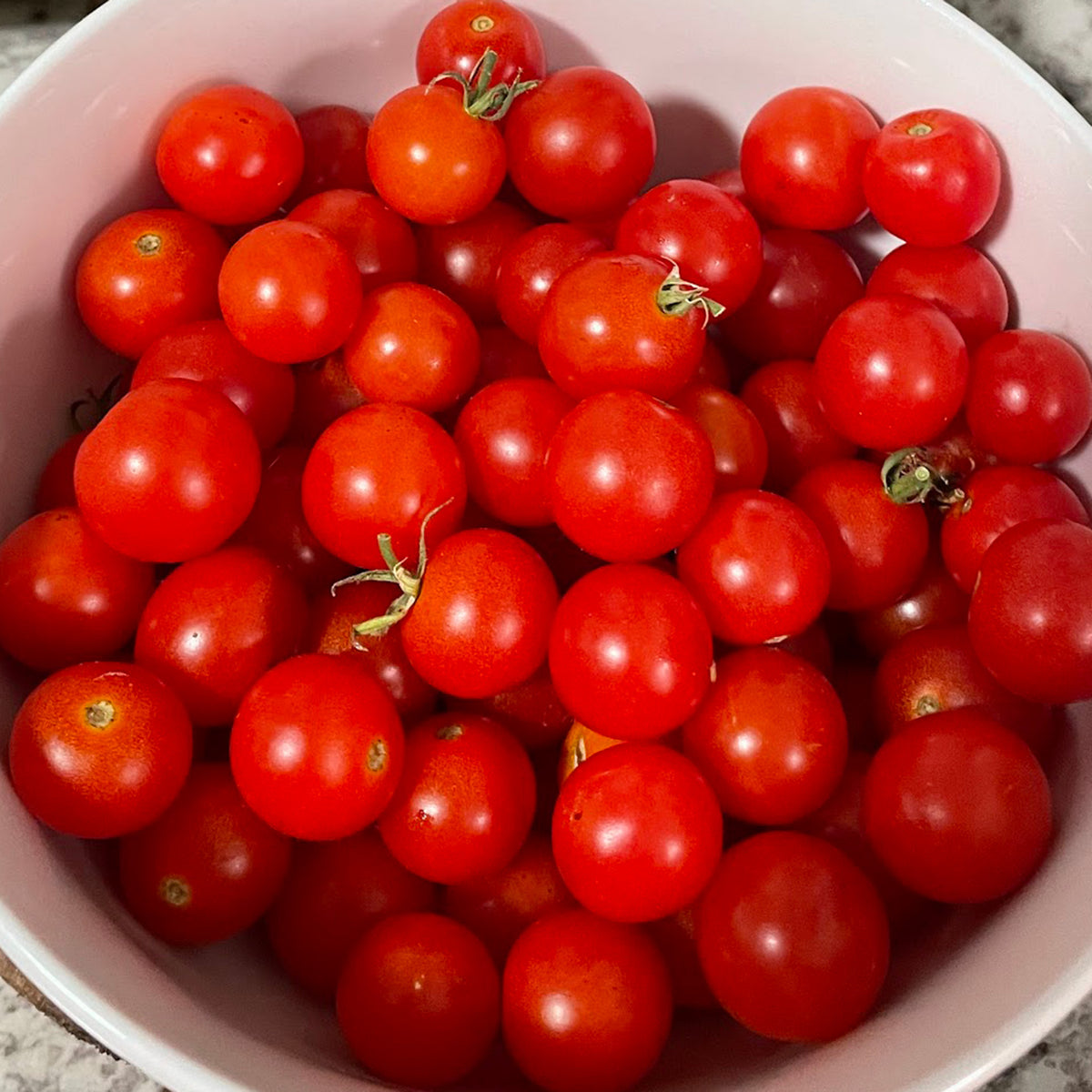 Tomato, Supersweet 100 Hybrid