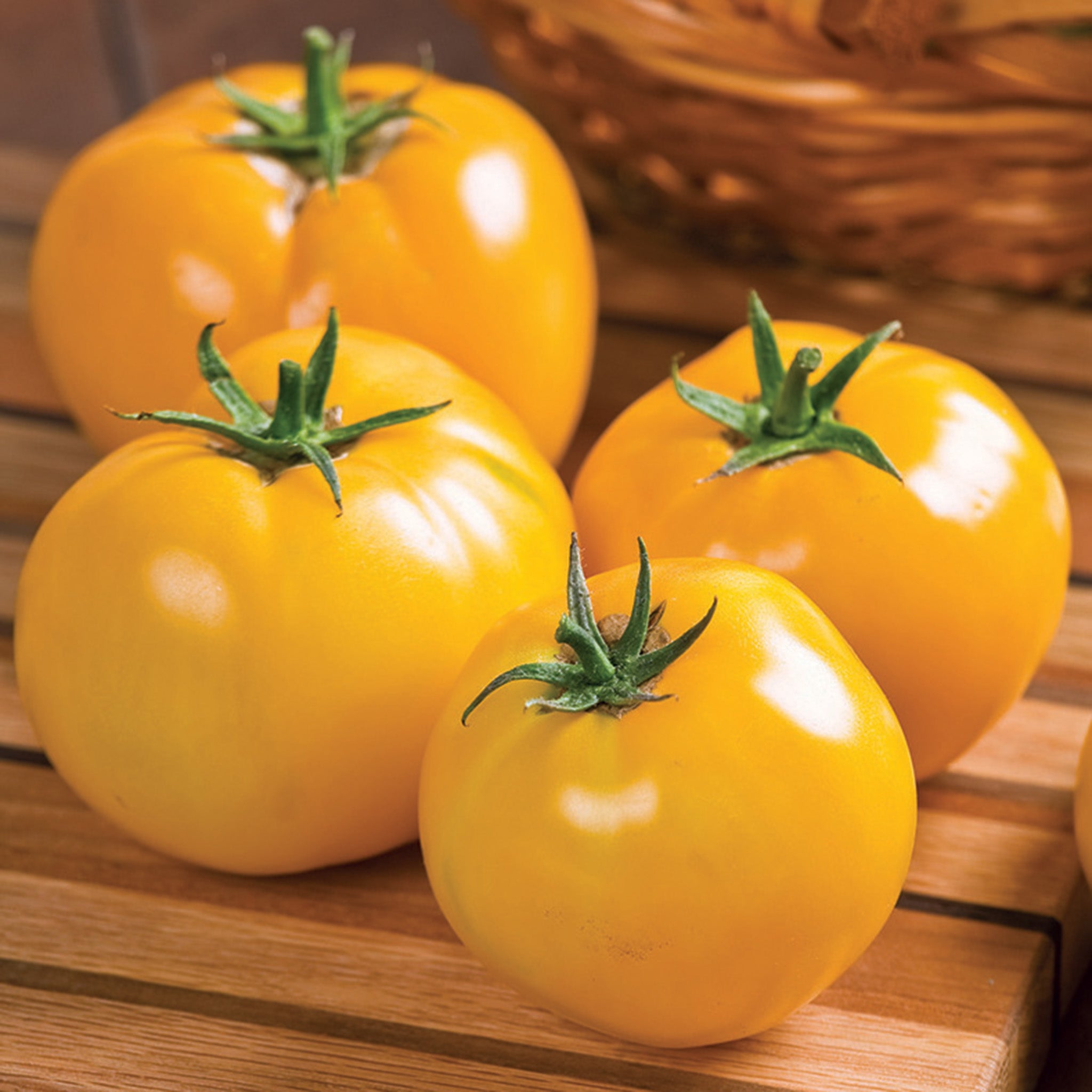 Tomato, Lemon Boy Hybrid