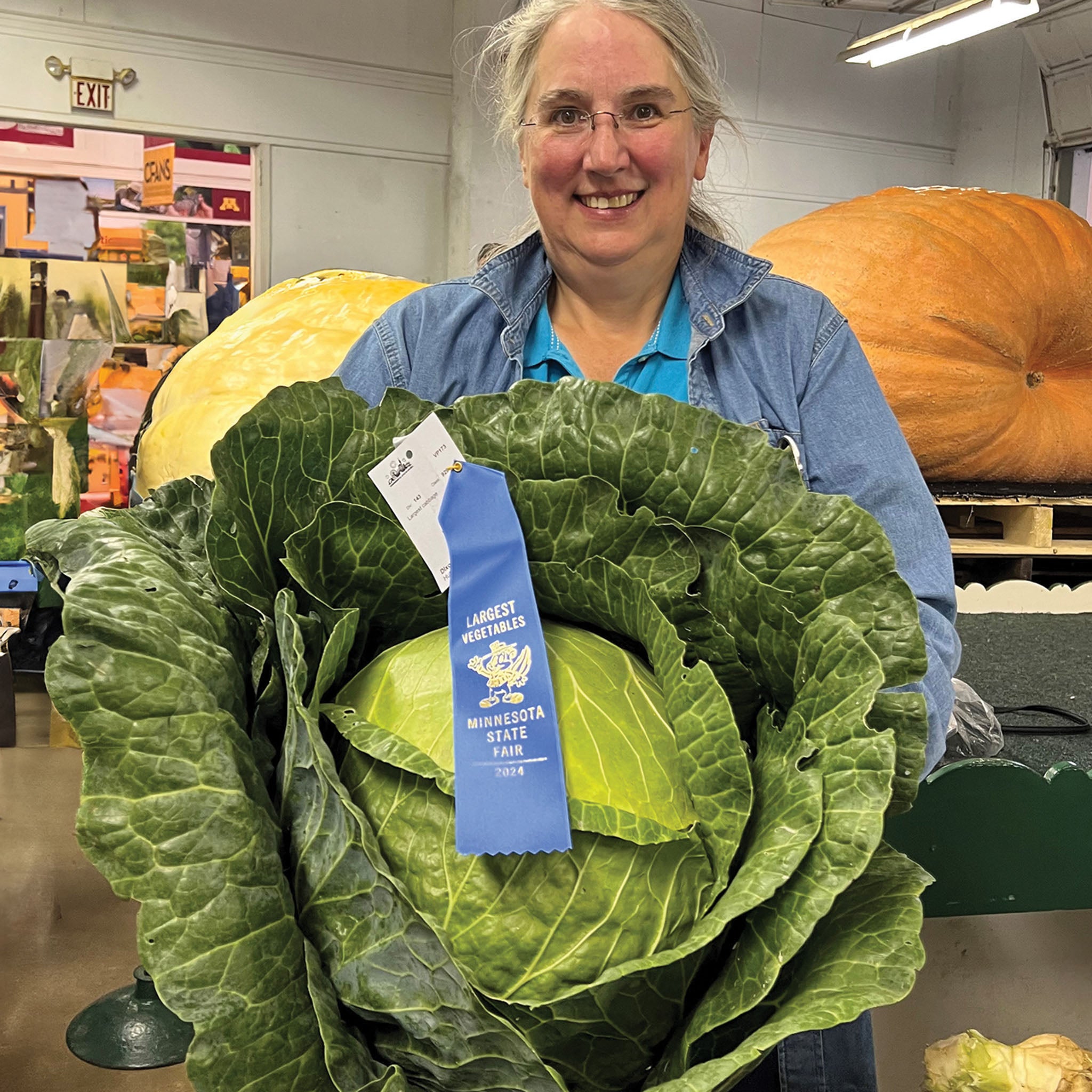 Cabbage, Megaton Hybrid Organic