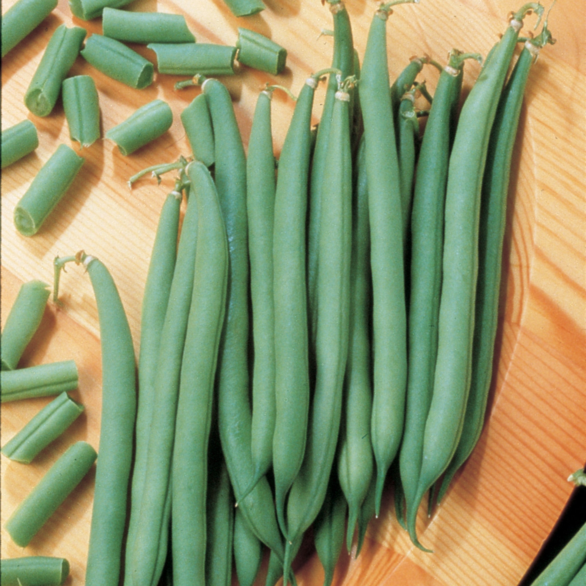 Bean, Bush, Top Crop