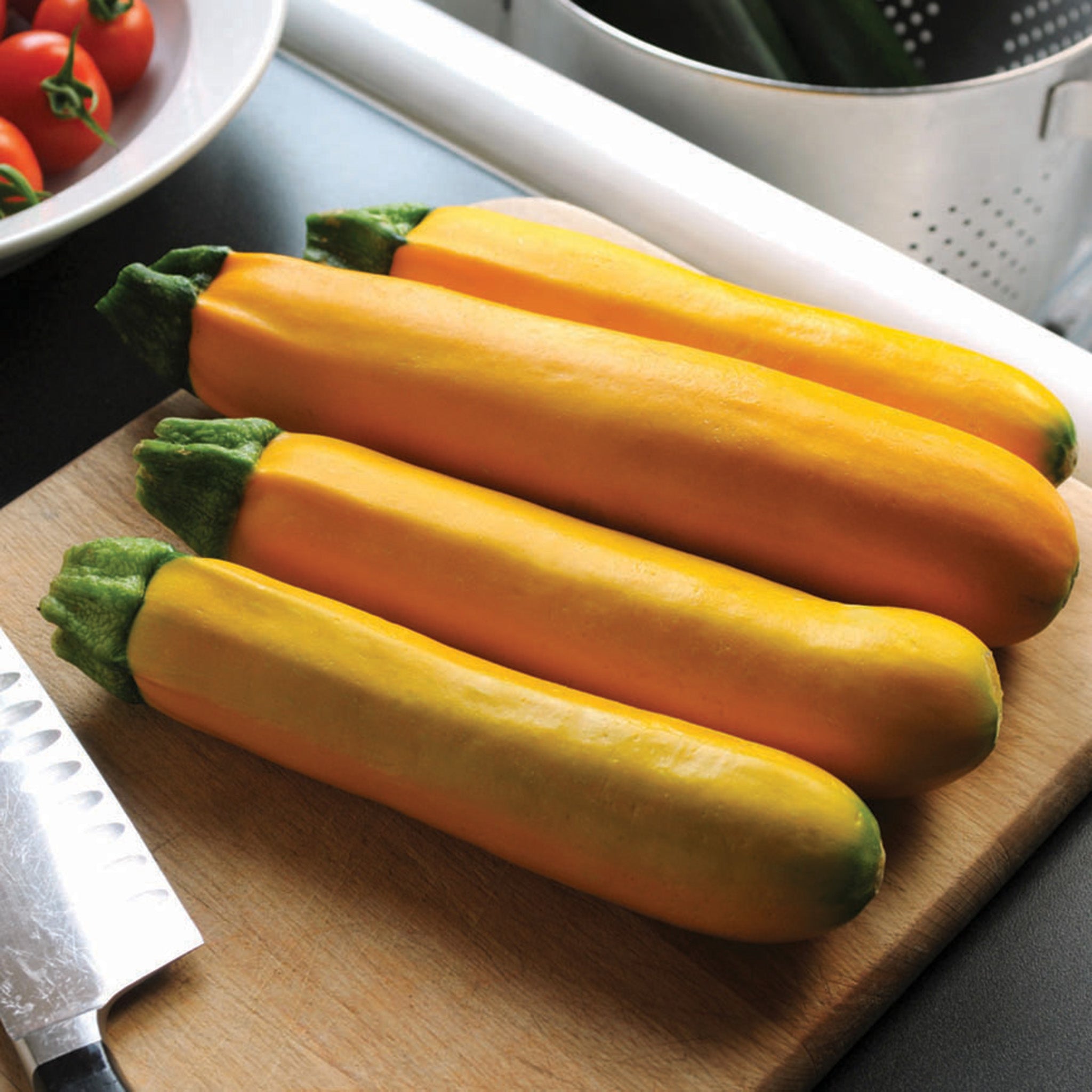 Squash, Summer, Easy Pick Gold II Hybrid