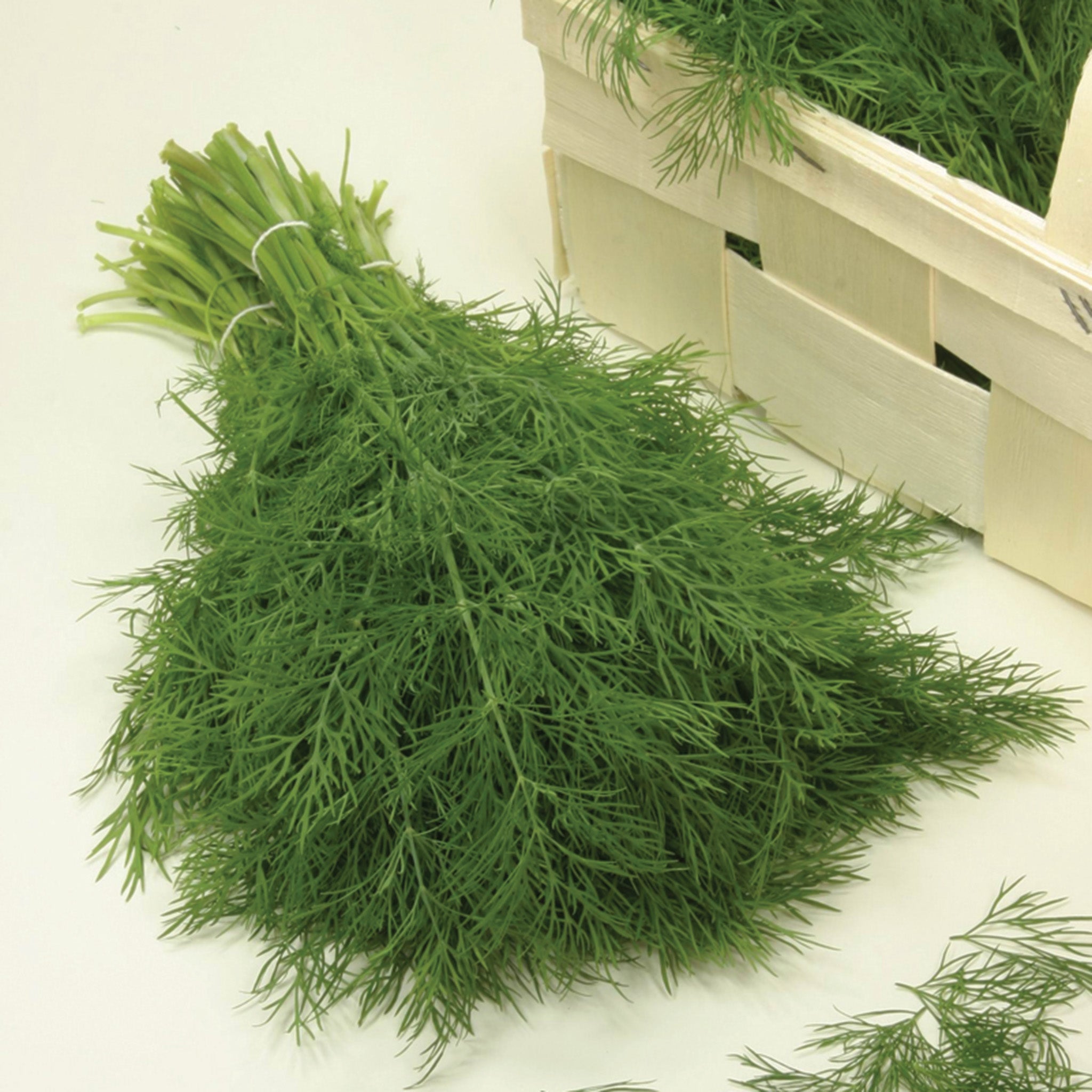 Dill, Diana