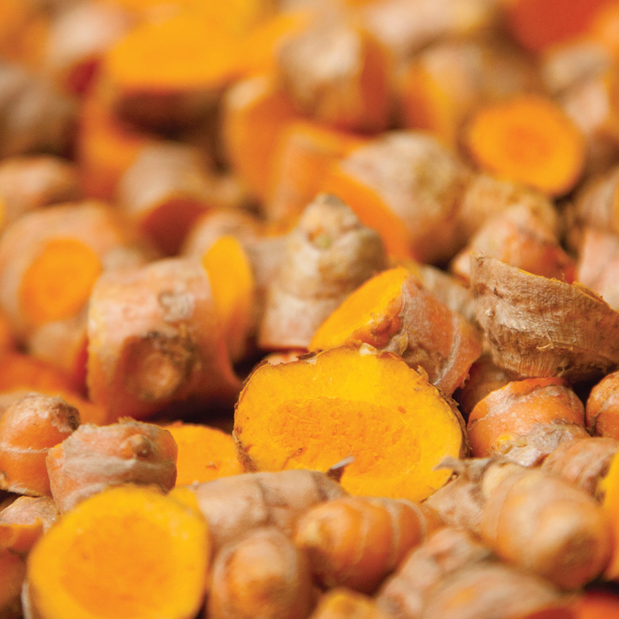 Turmeric, Orange