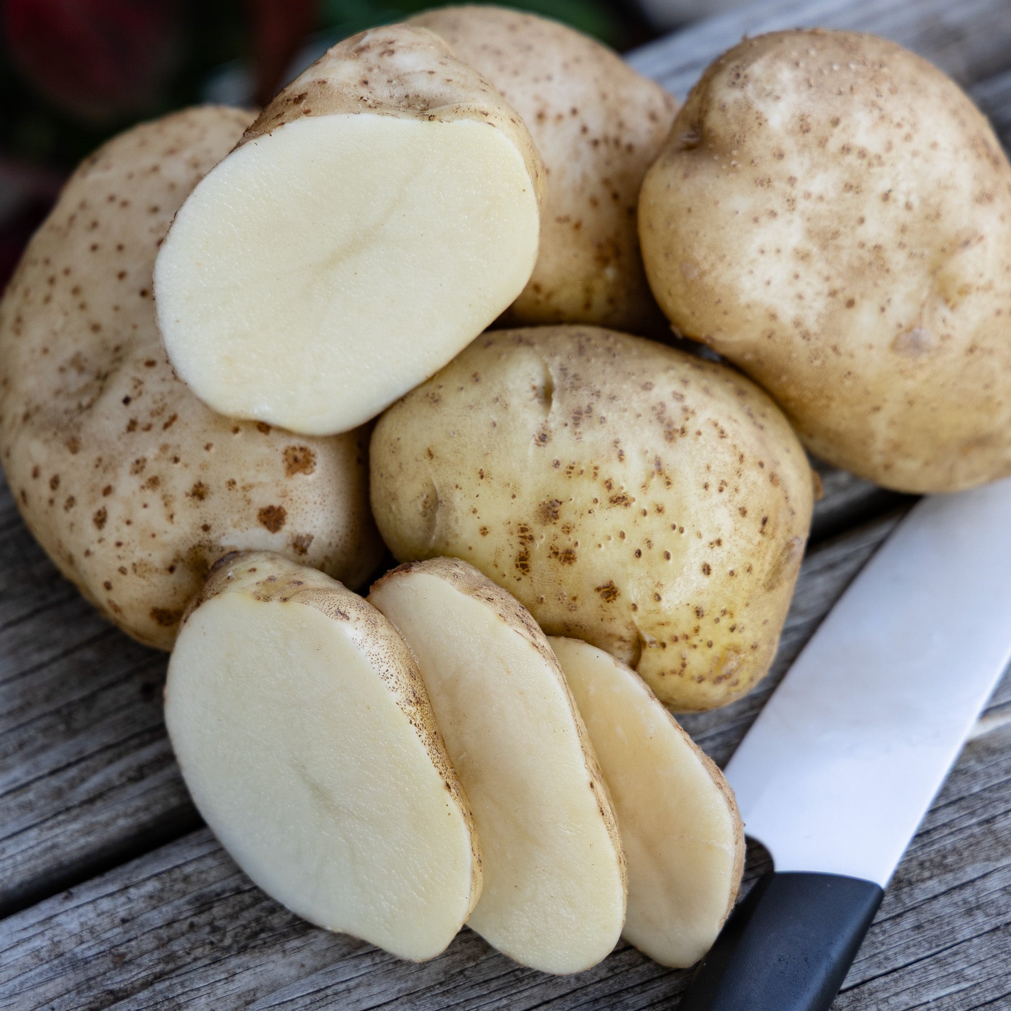 Potato, Kennebec, 3 Lb