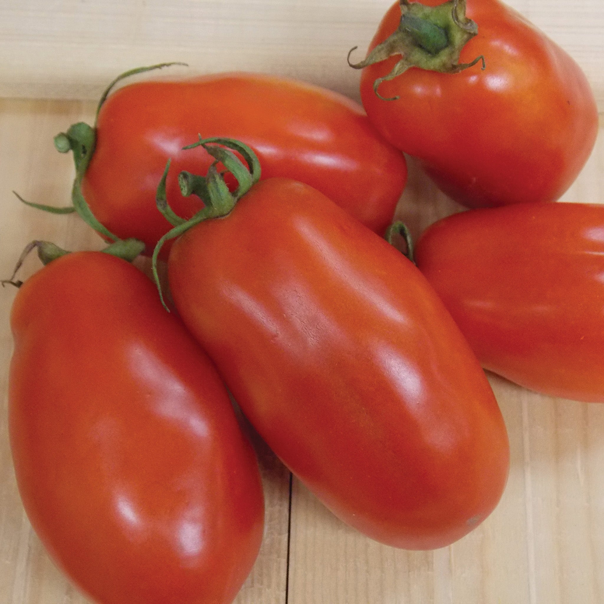 Tomato, San Marzano