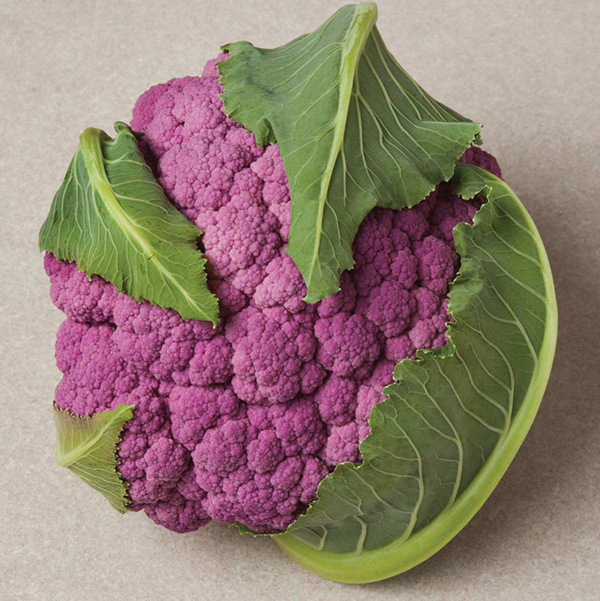 Cauliflower, Depurple Hybrid