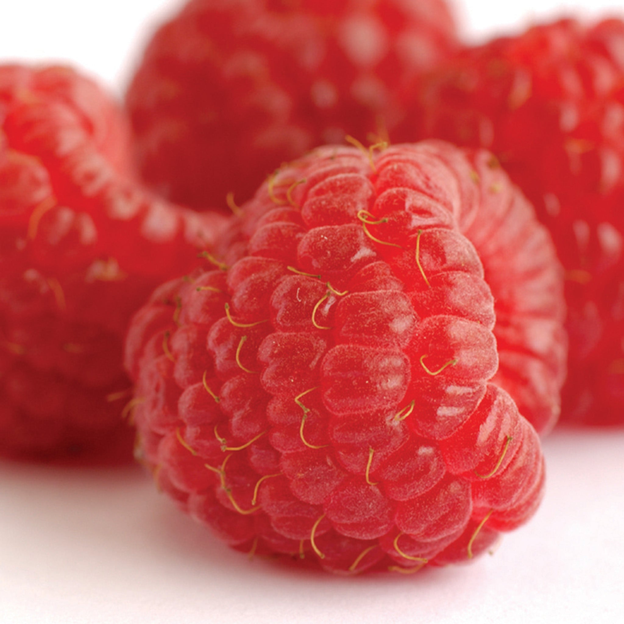 Raspberry, Fall-Bearing, Heritage