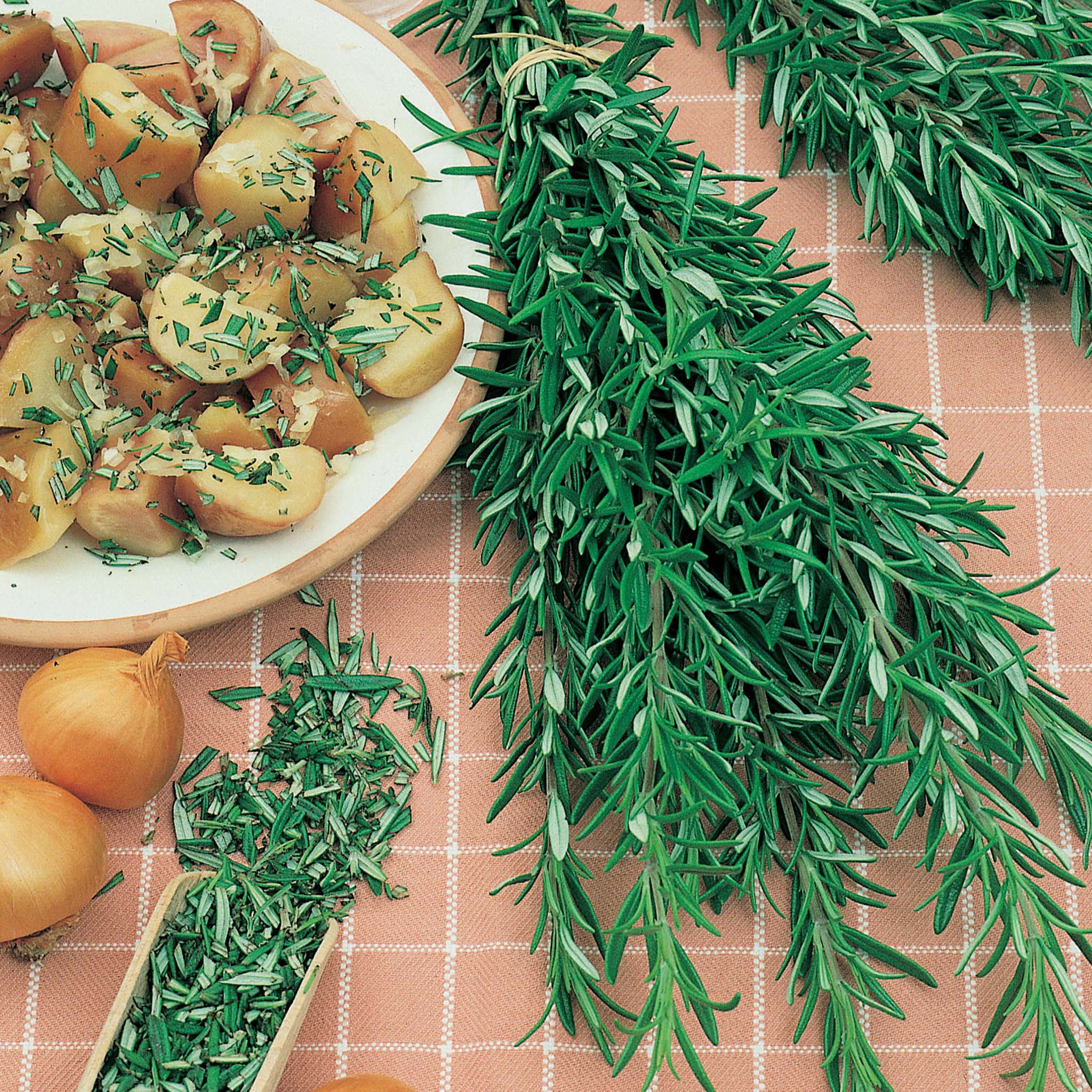 Rosemary