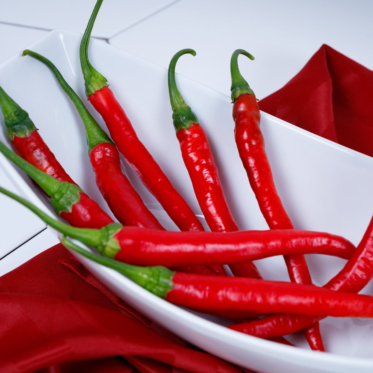 Pepper, Hot, Rajah Hybrid