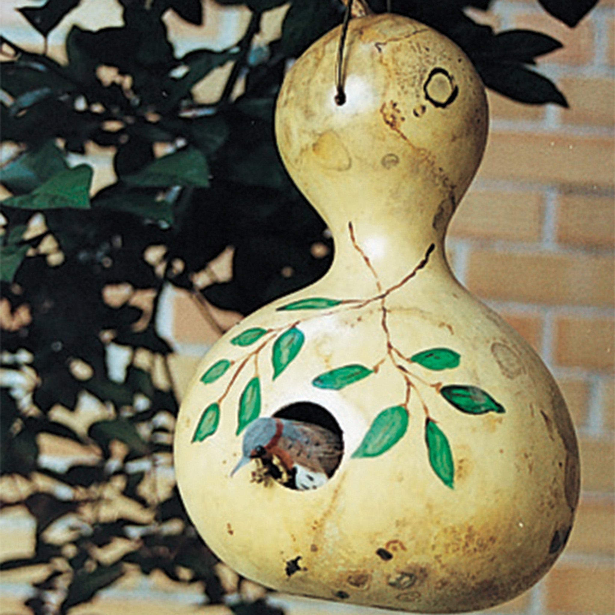 Gourd, Bird House