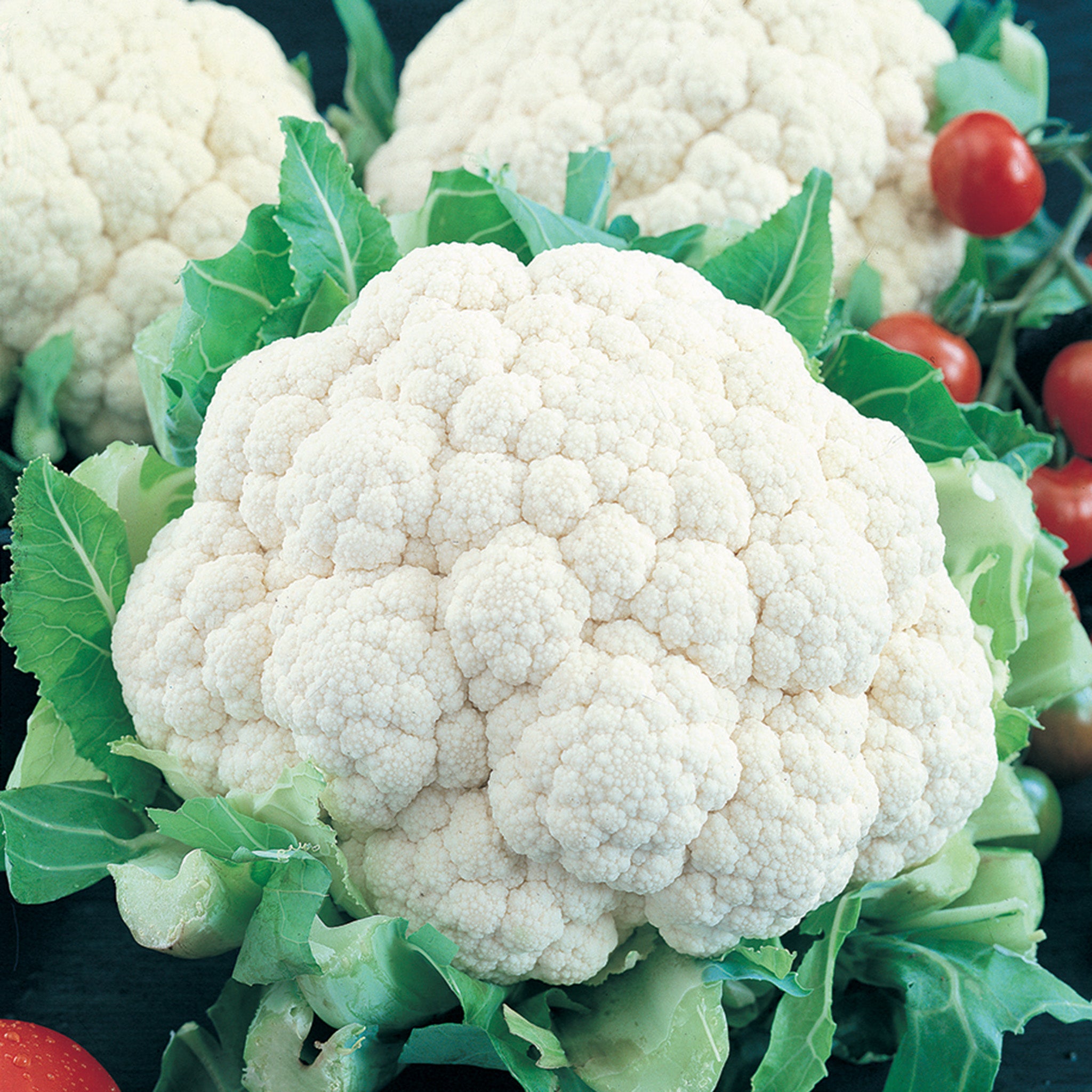 Cauliflower, Snowball Self-Blanching