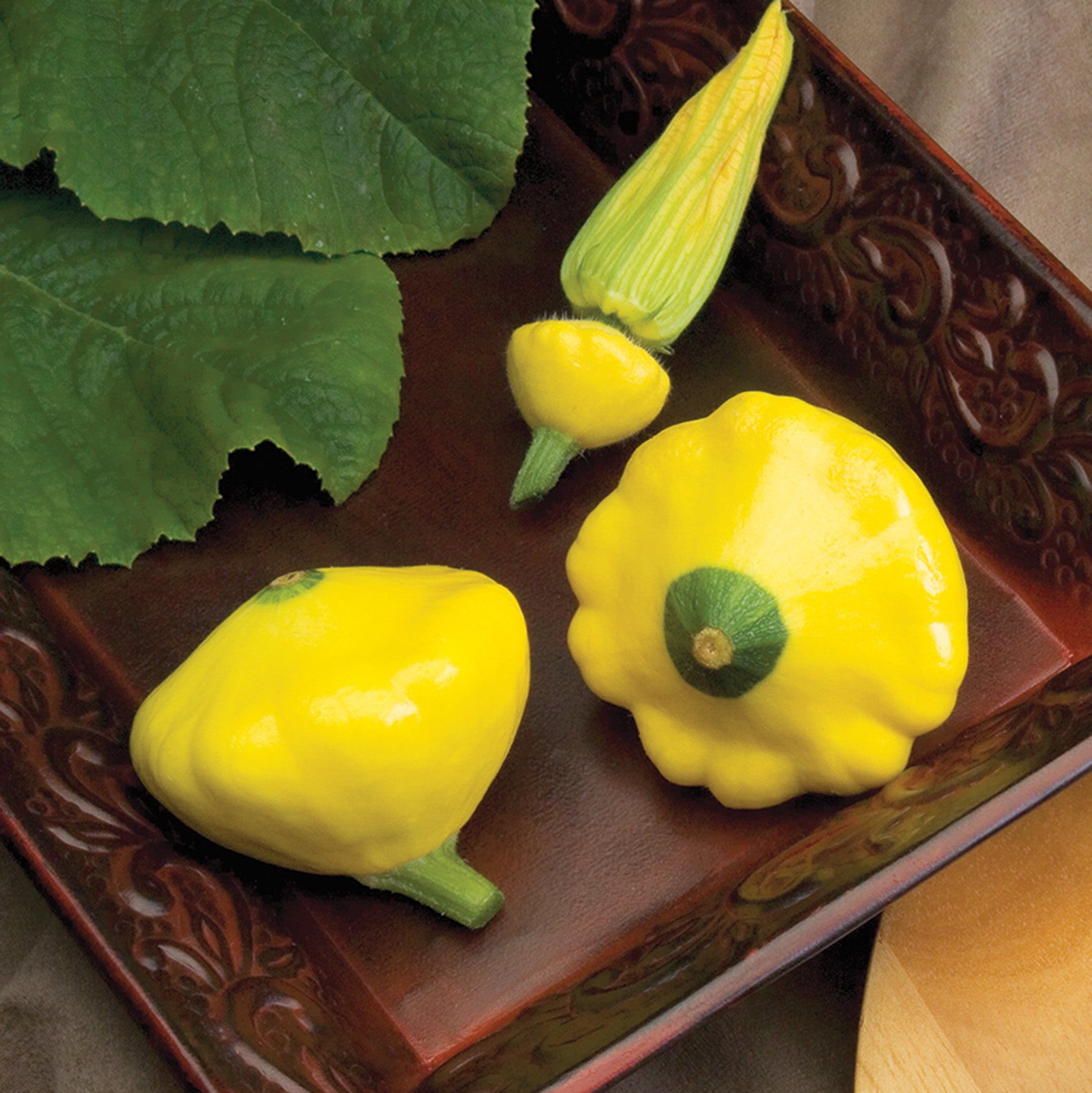 Squash, Summer, Sunburst Hybrid