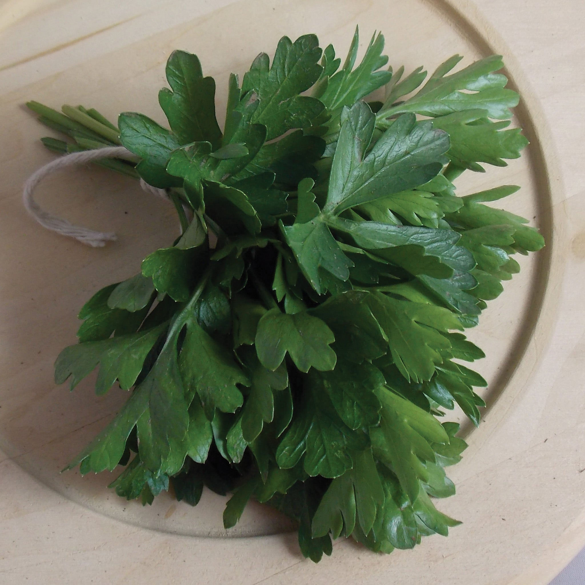 Parsley, Dark Green Italian
