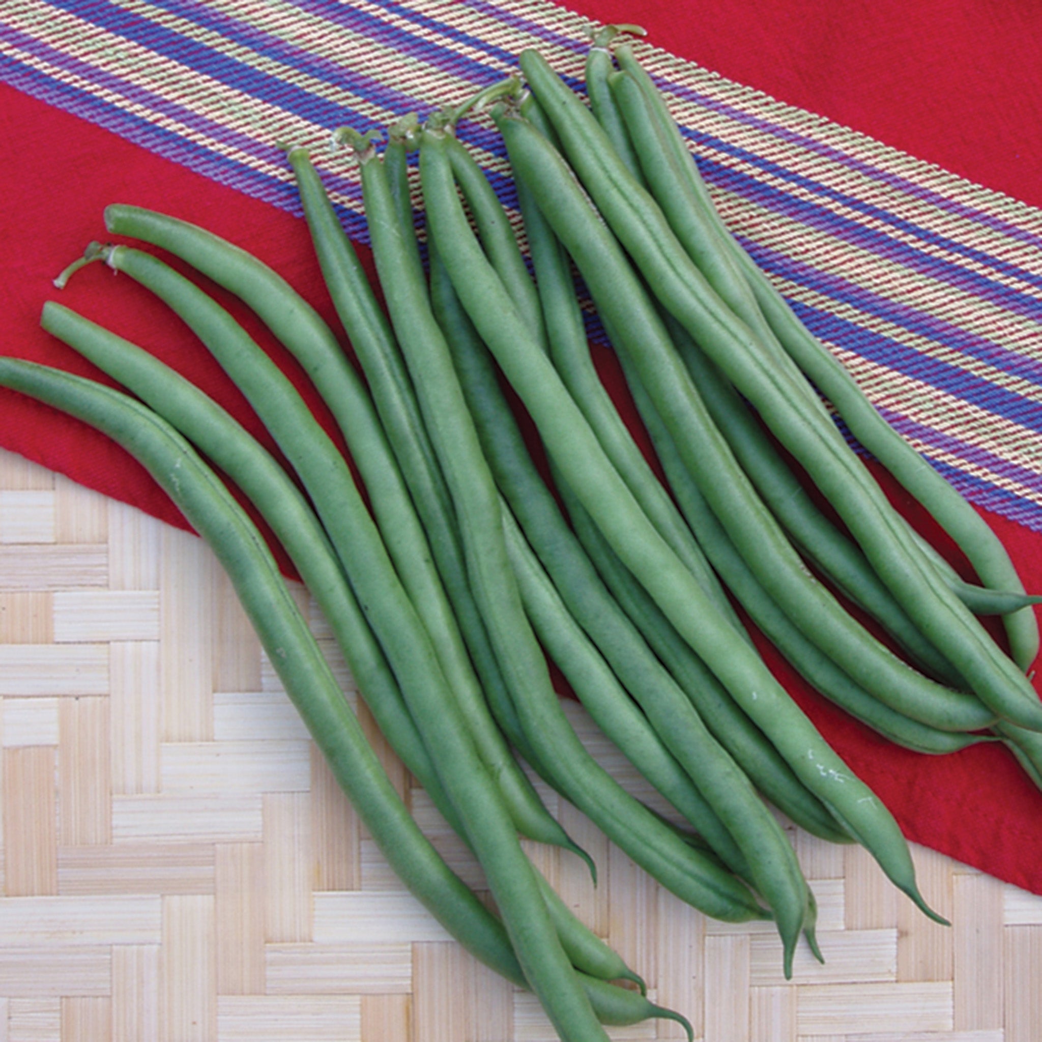 Bean, Bush, Provider.