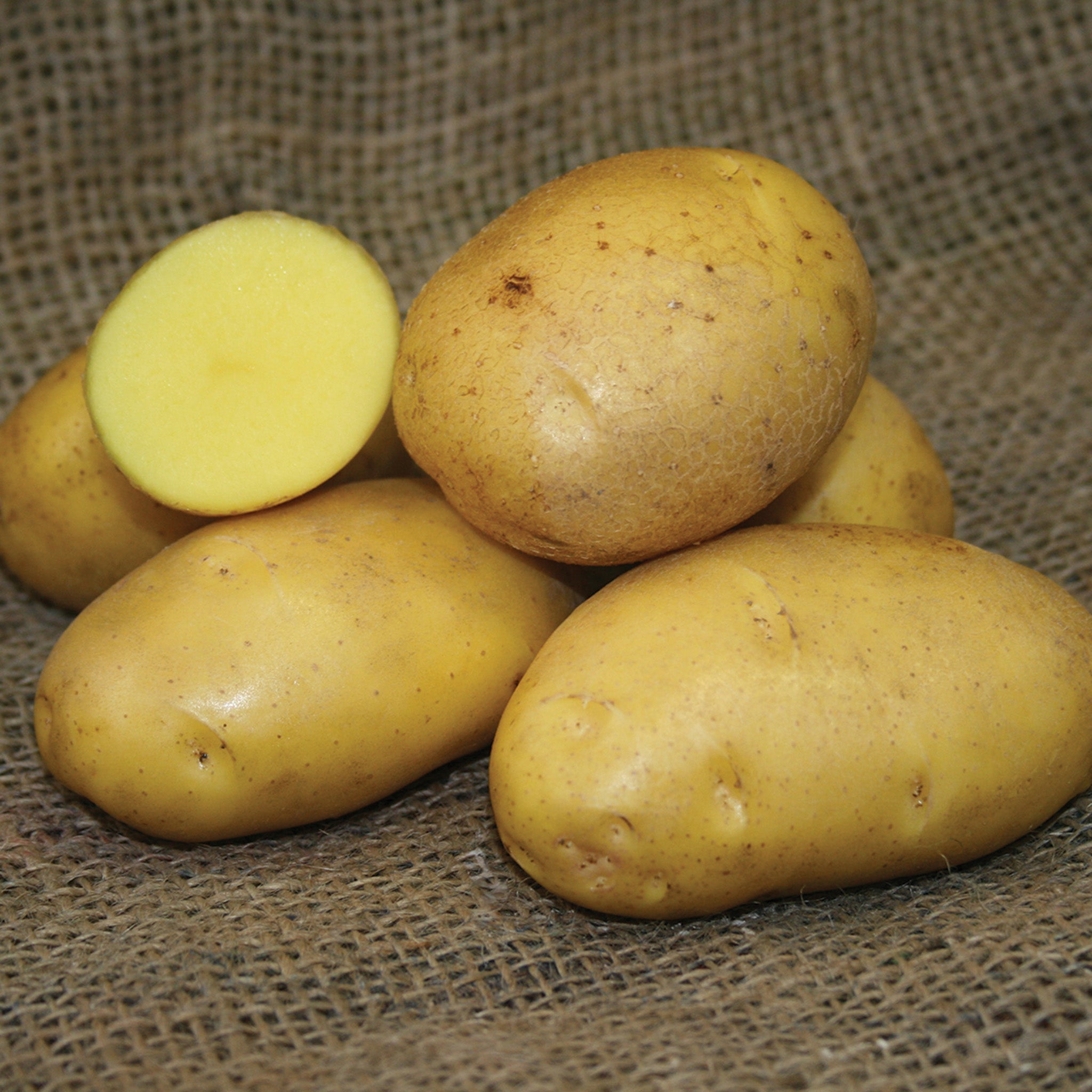 Potato, German Butterball, 3 Lb