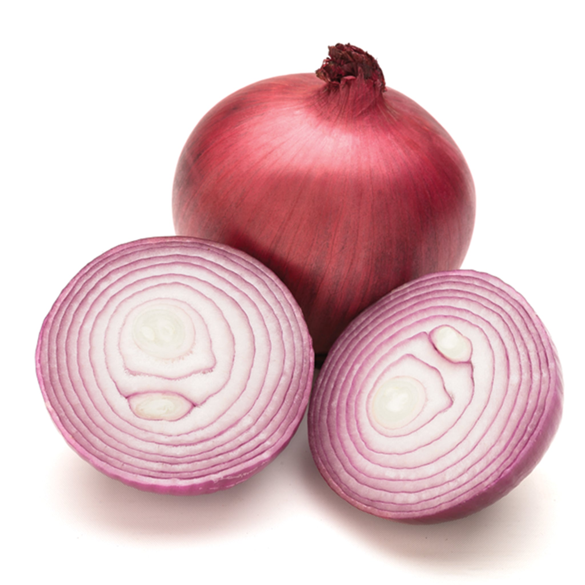 Onion, Red Nugent Hybrid