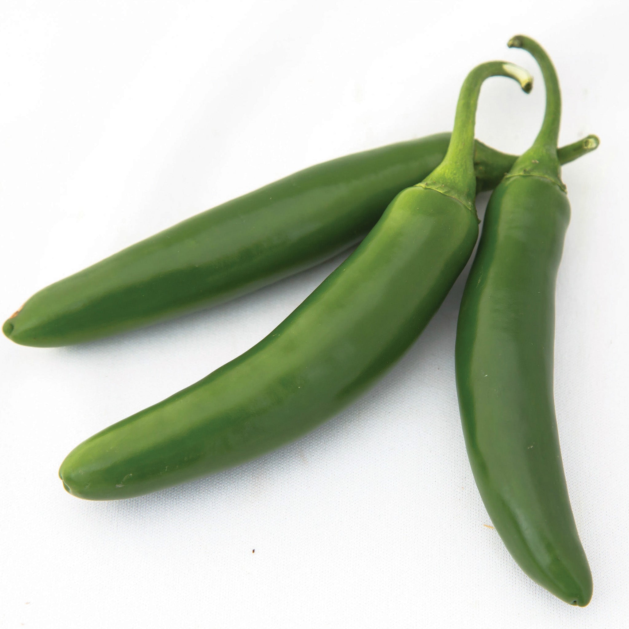 Pepper, Hot, Flaming Jade Hybrid