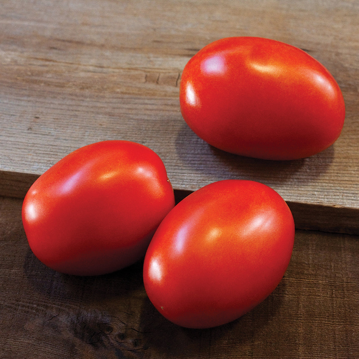 Tomato, Daytona Hybrid.