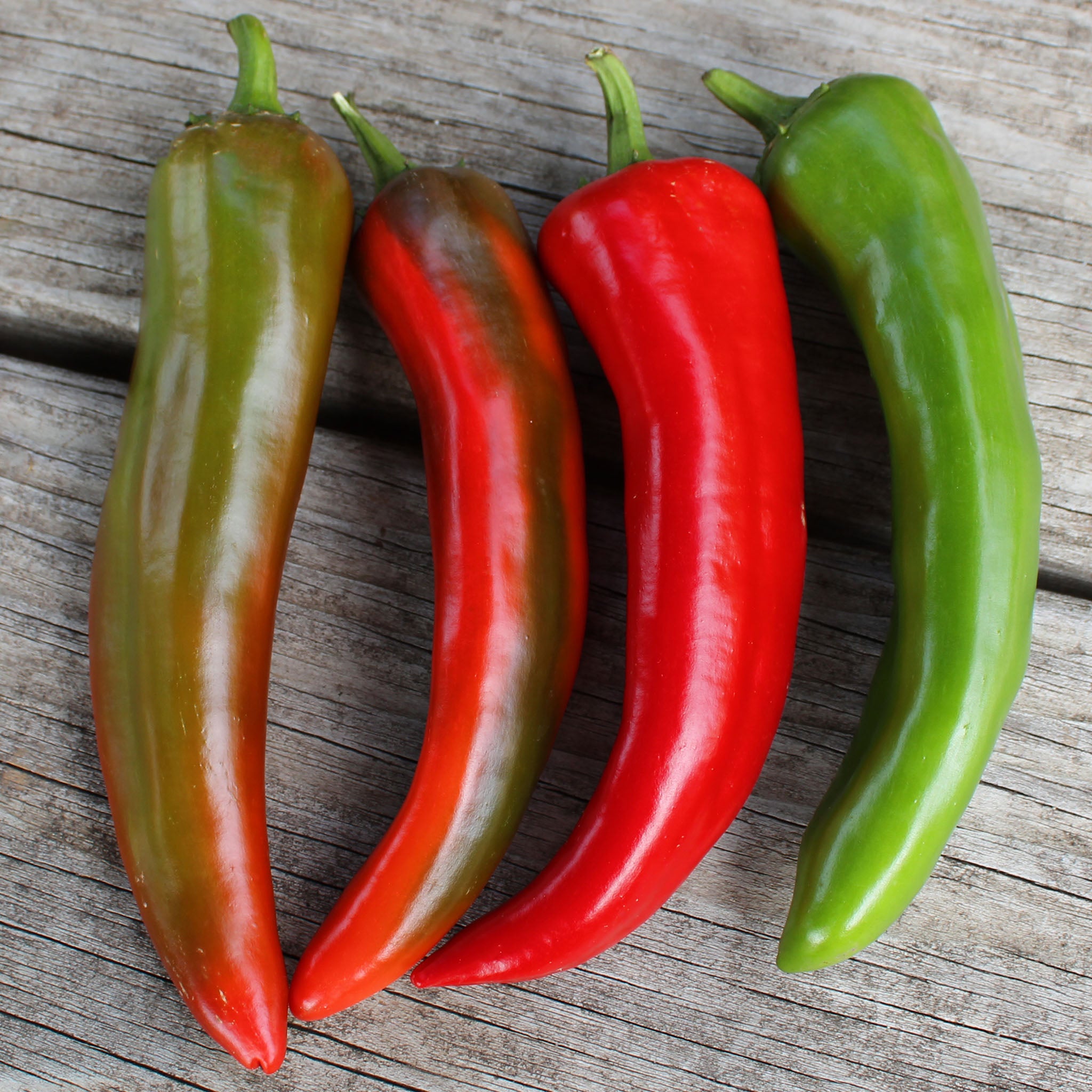 Pepper, Hot, NuMex Big Jim
