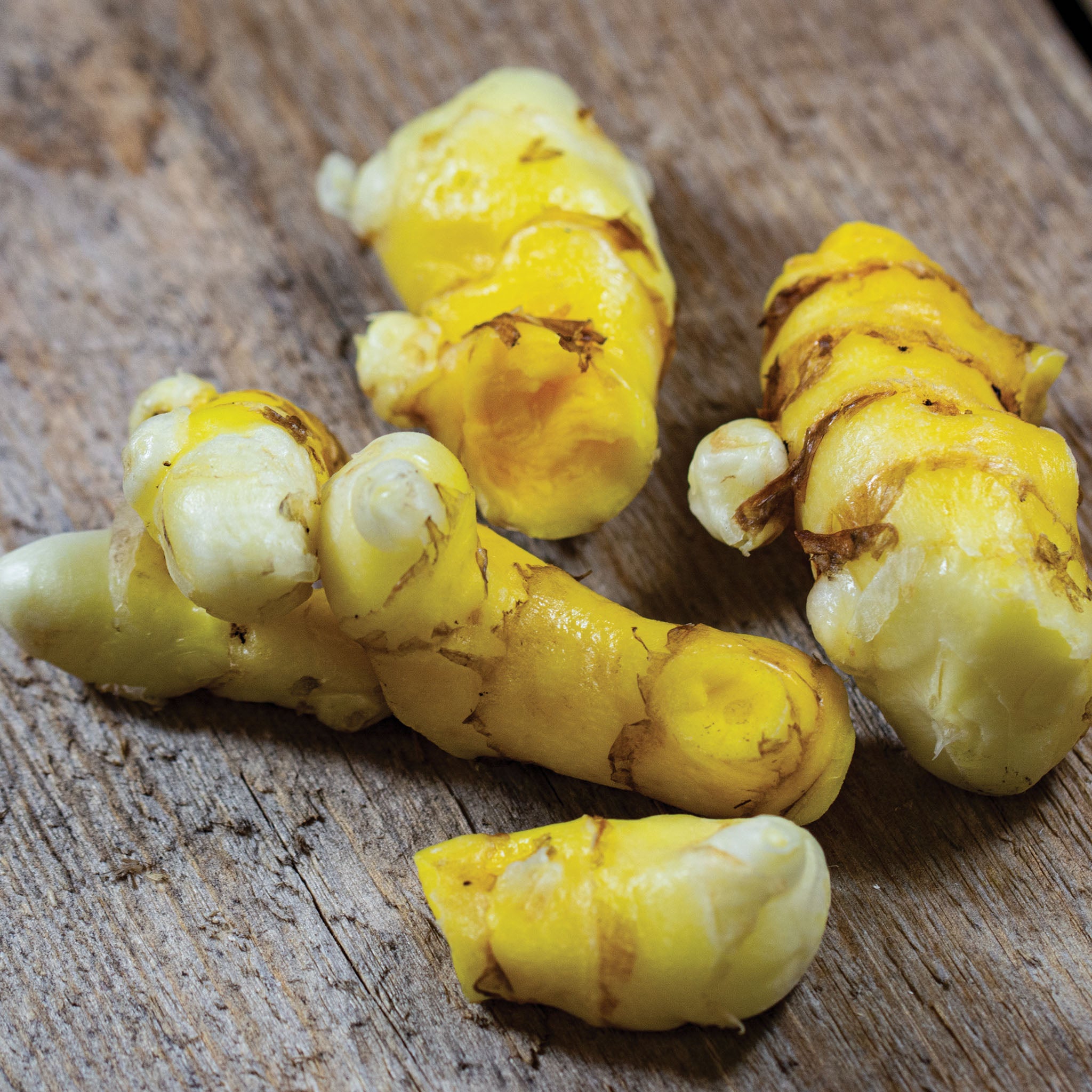 Turmeric, White