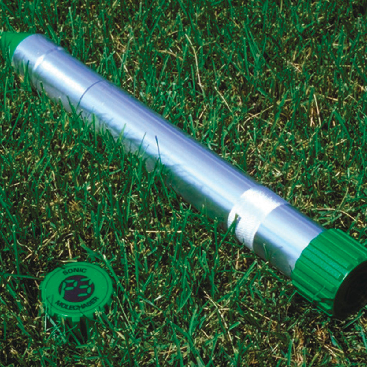 Sonic Mole Chaser