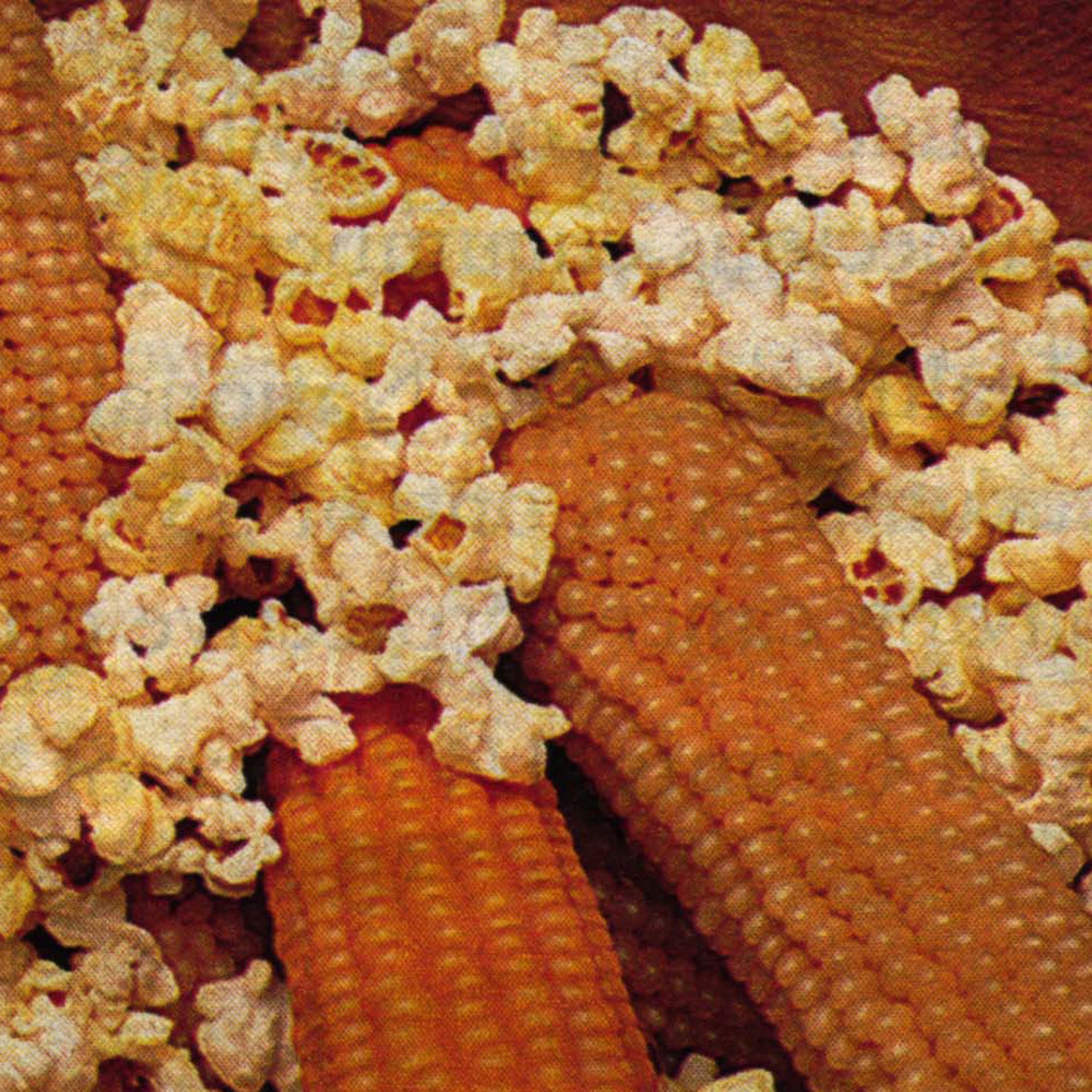 Popcorn, Robust Yellow Hybrid