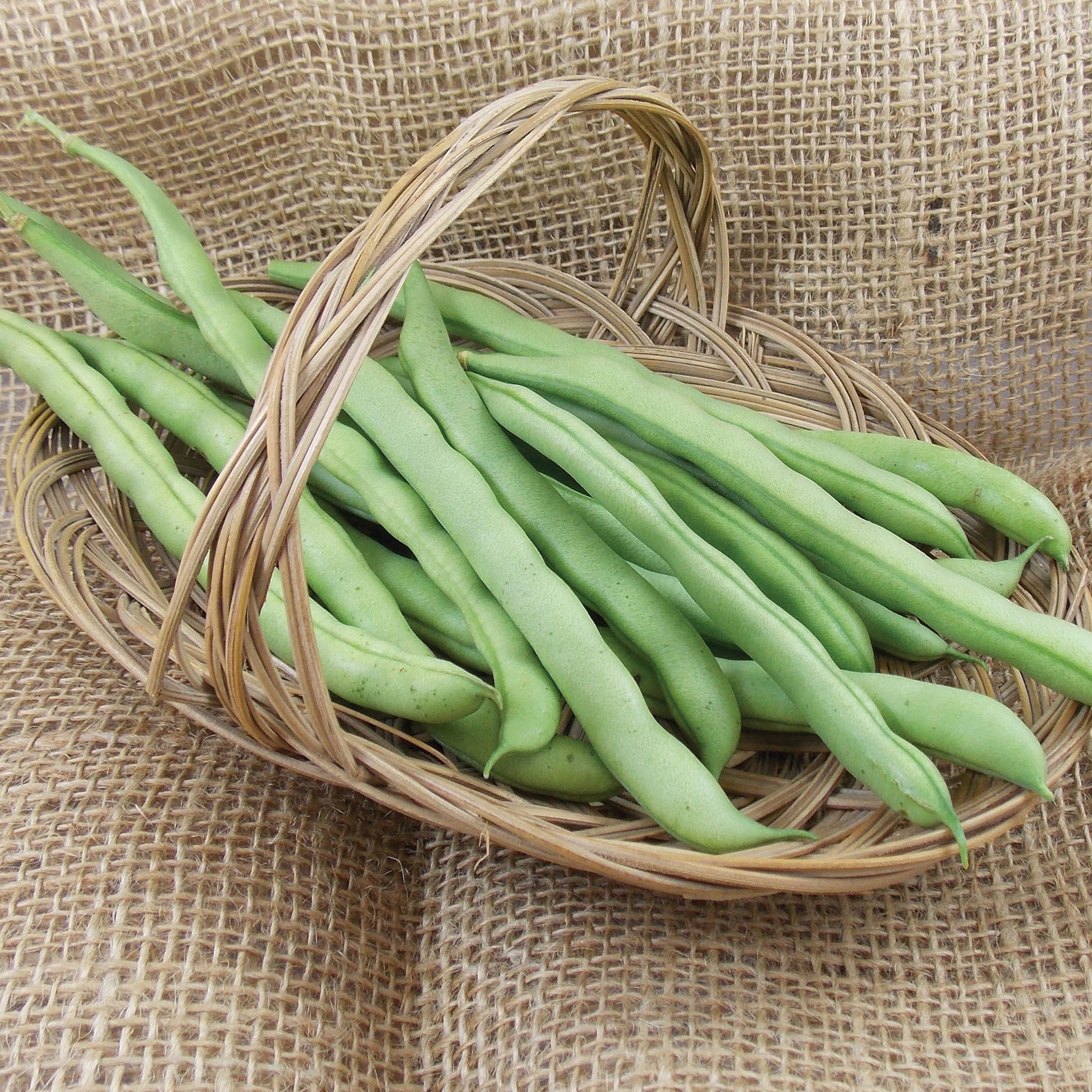 Bean, Pole, Blue Lake FM1