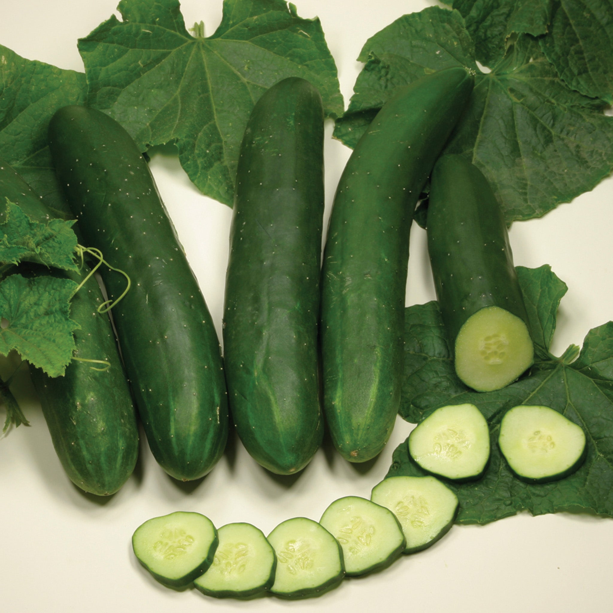 Cucumber, Tanja