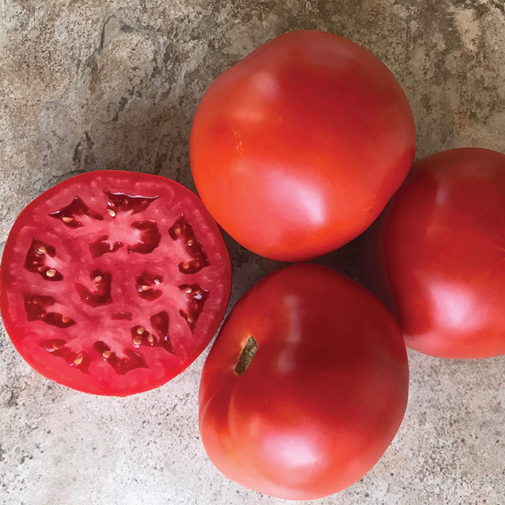 Tomato, Roadster Hybrid