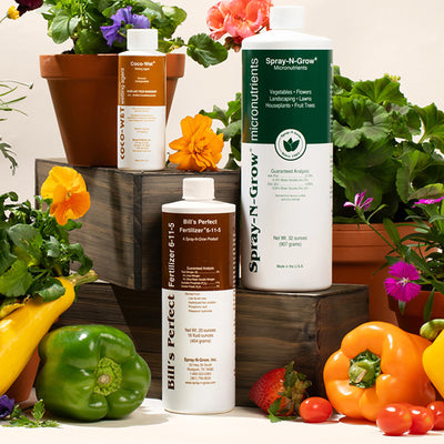 Spray N' Grow Perfect Blend Kit
