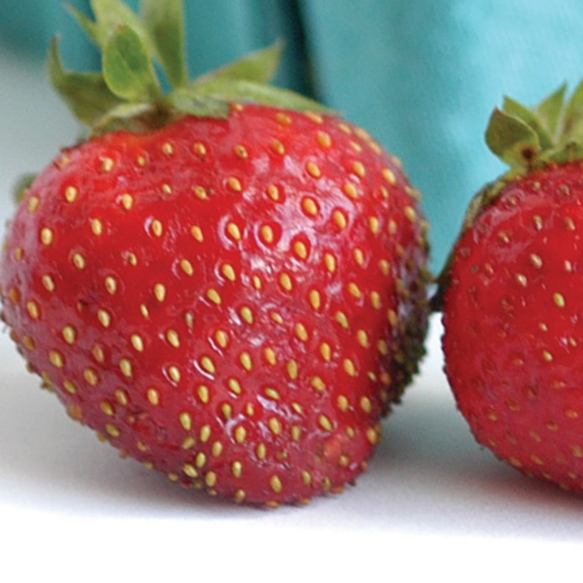 Strawberry, Day-Neutral, Seascape, 25 Plants