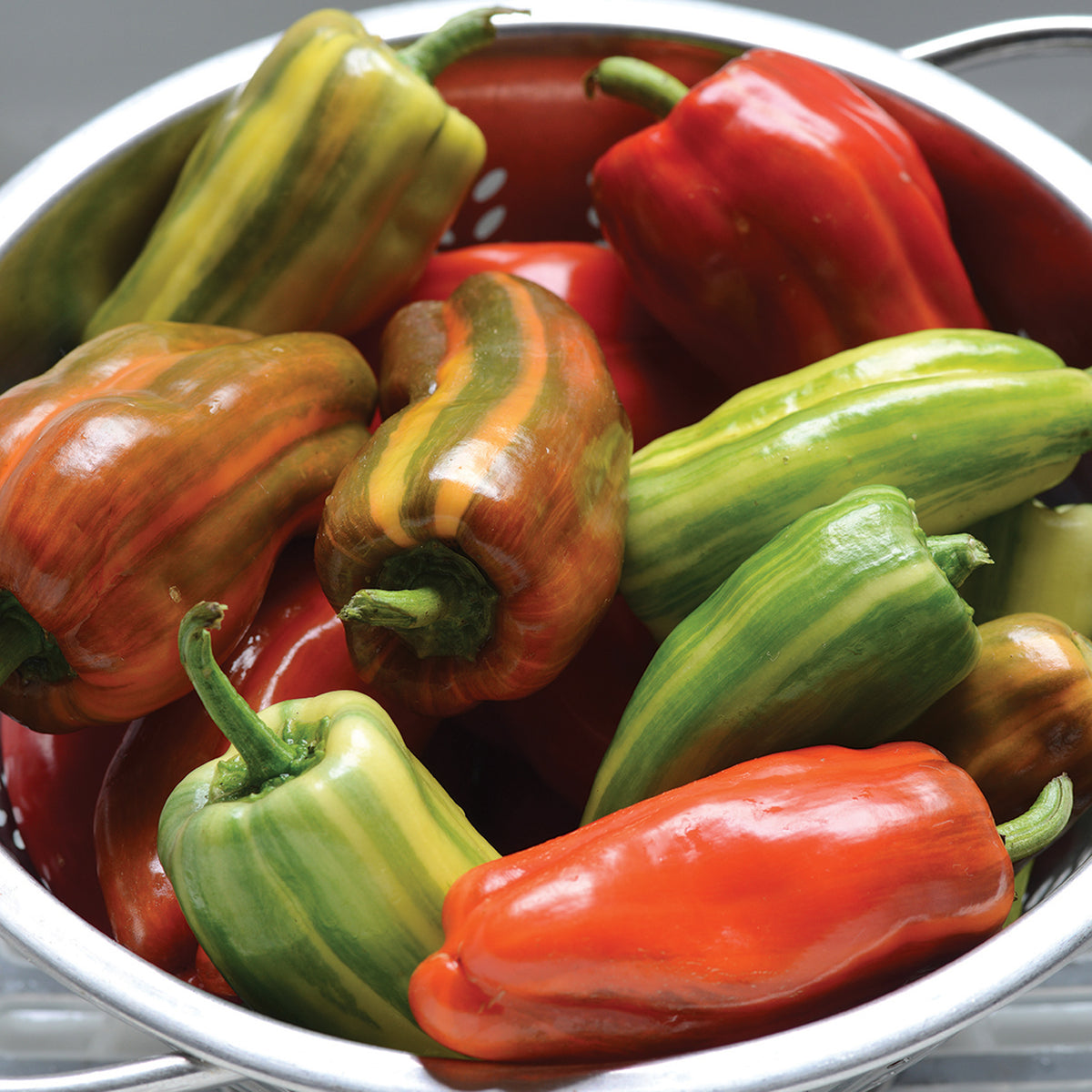 Pepper, Sweet, Candy Cane Red Hybrid