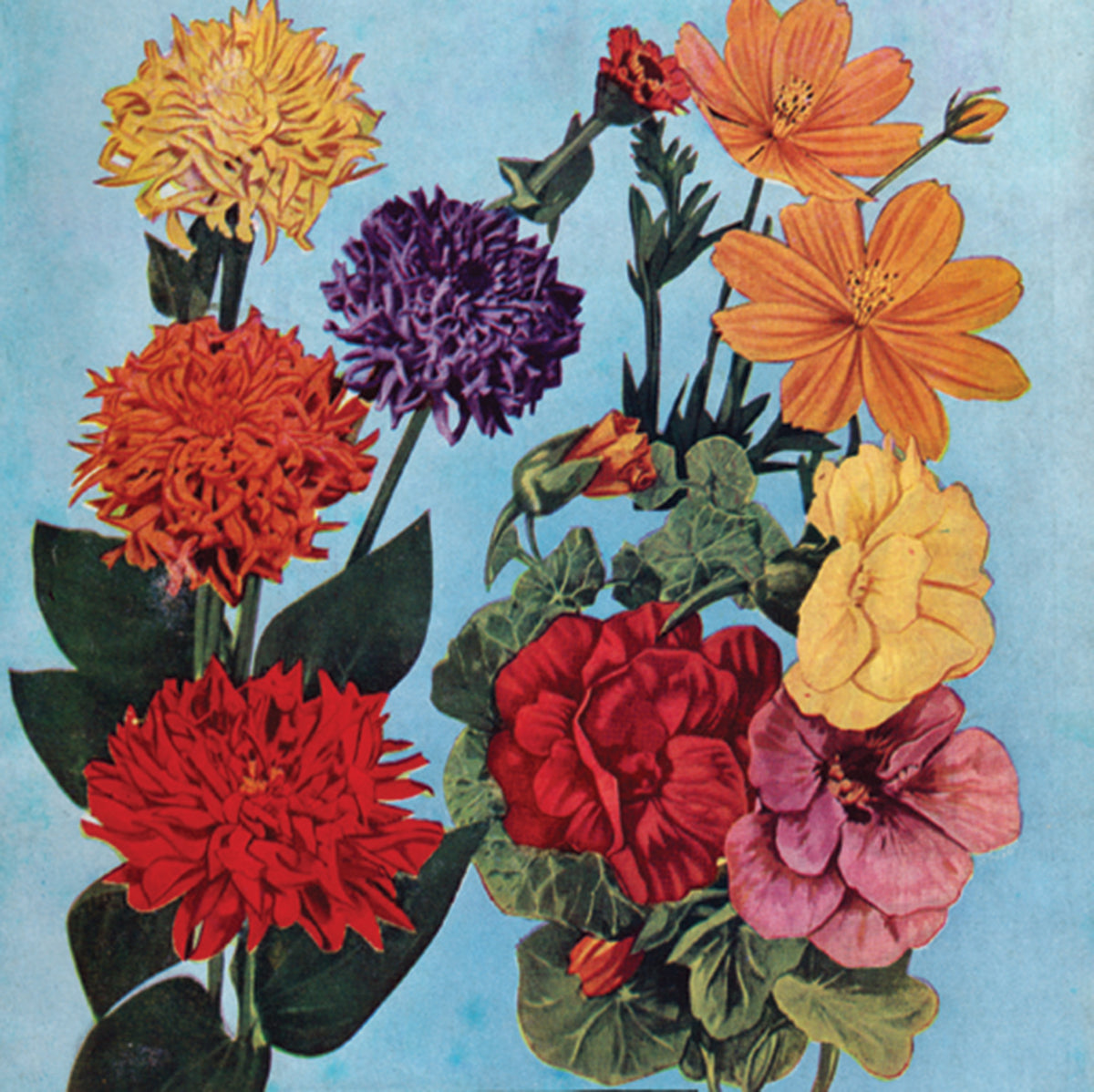 Grandpa Jung's Garden & Bouquet Mix