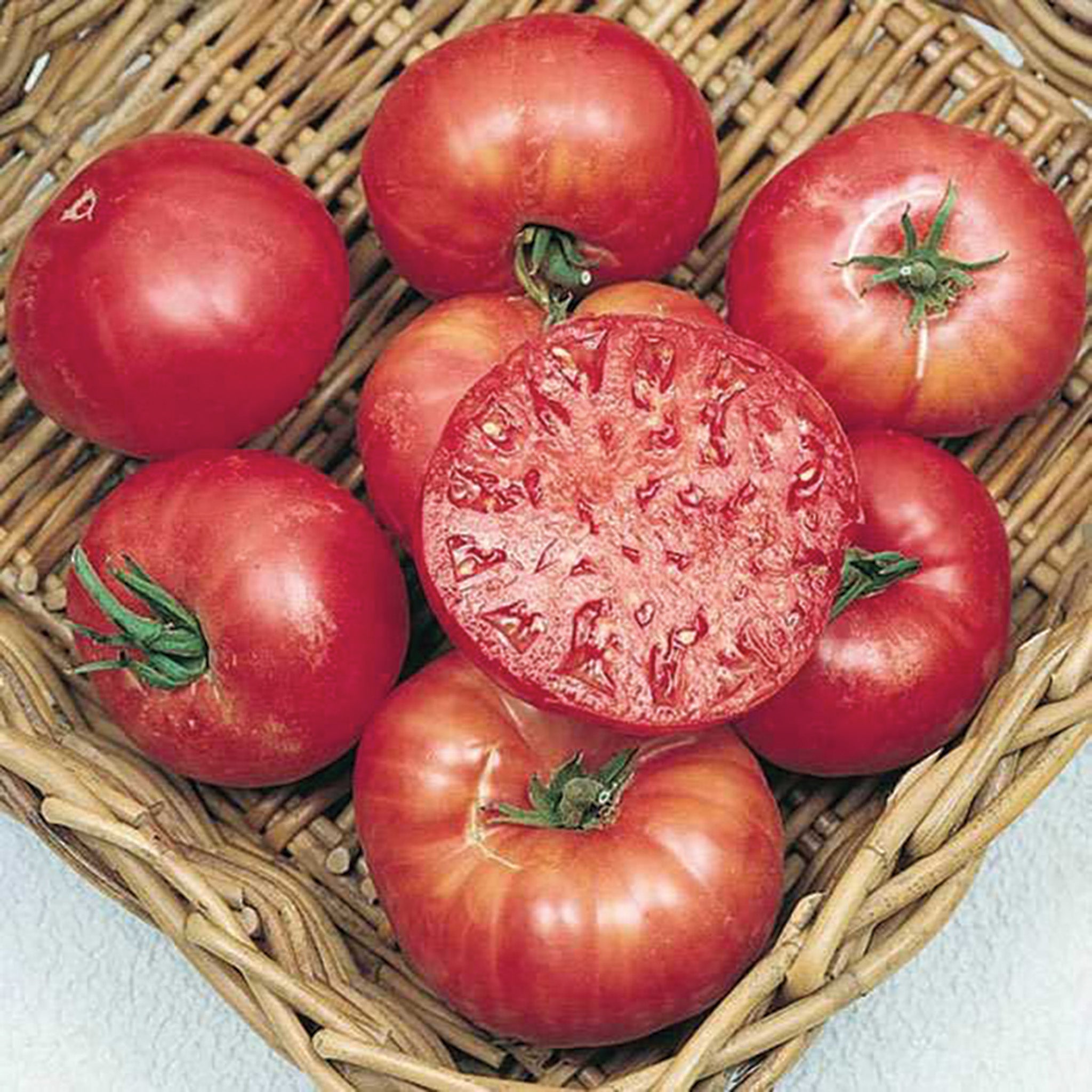 Tomato, Mortgage Lifter