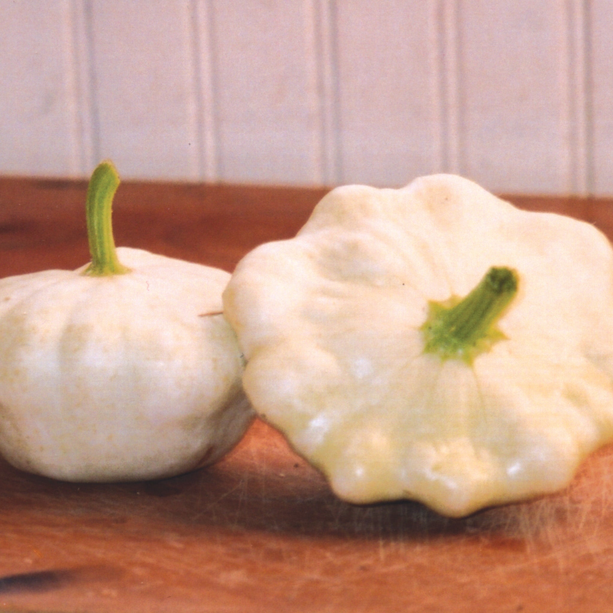 Squash, Summer, Early White Bush Scallop