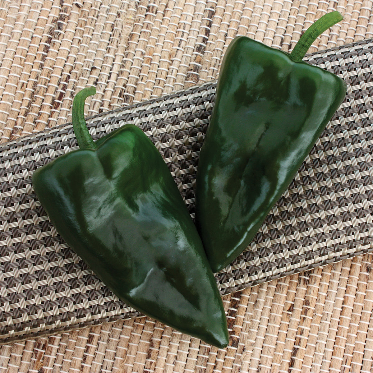Pepper, Hot, Trident Hybrid