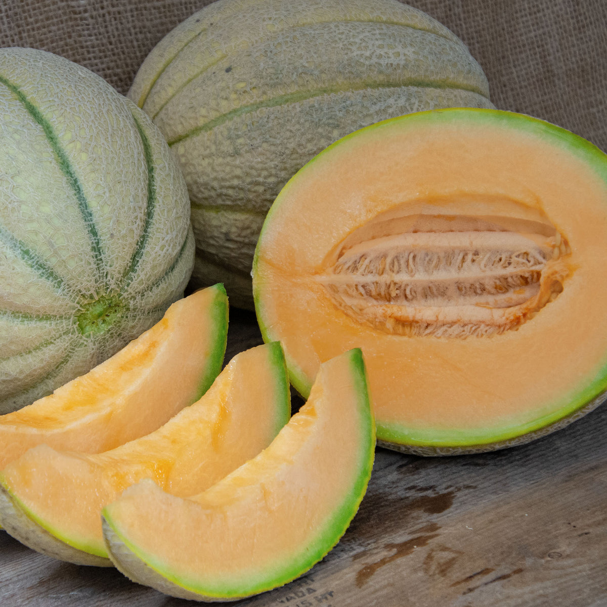 Melon, Carousel Hybrid