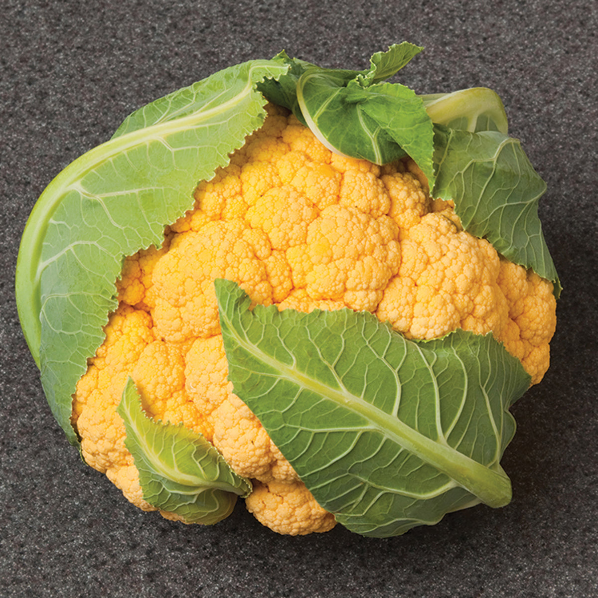 Cauliflower, Flame Star Hybrid