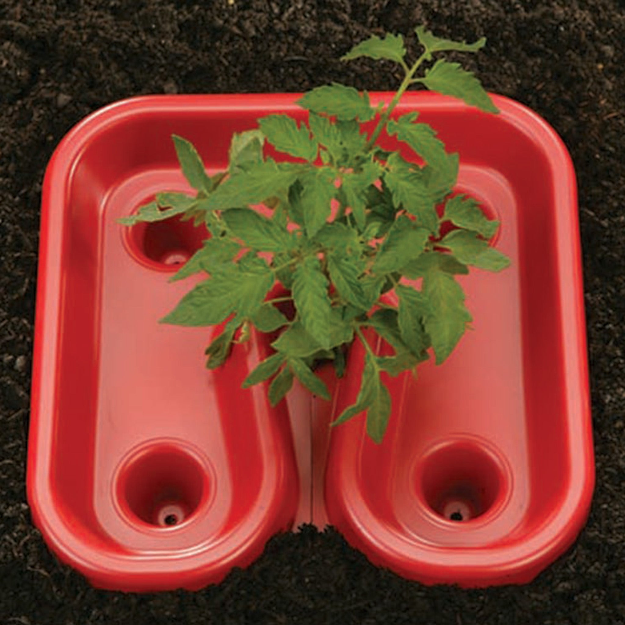 Dalen® Automator Tray™, 12 Inch L x 12 Inch W x 3.5 Inch H, Red, 3-Pack